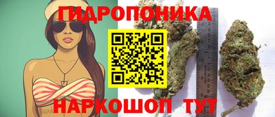 хмурый Будённовск