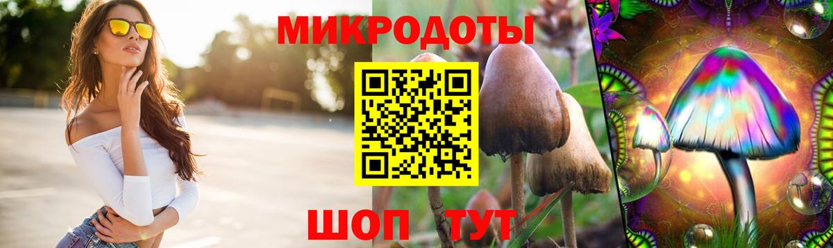 Псилоцибиновые грибы мицелий  Вход с VPN  Карасук 